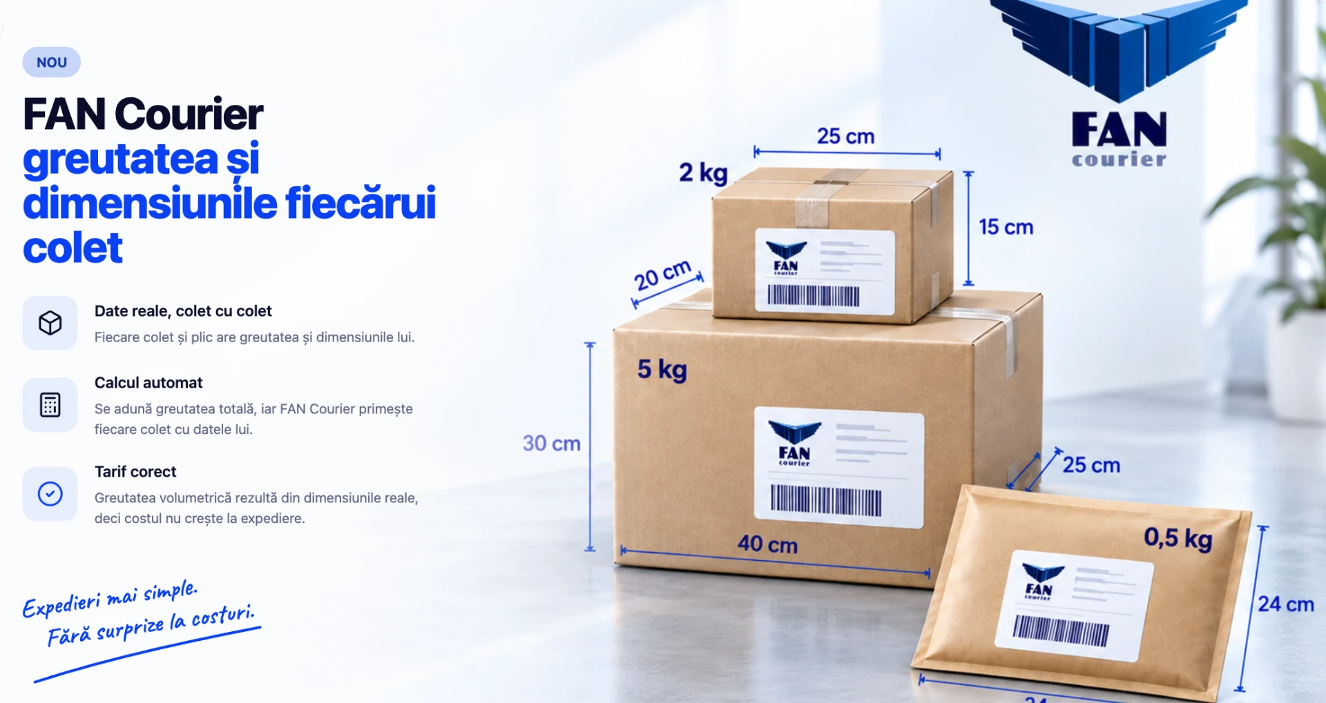 FAN Courier — greutatea și dimensiunile fiecărui colet